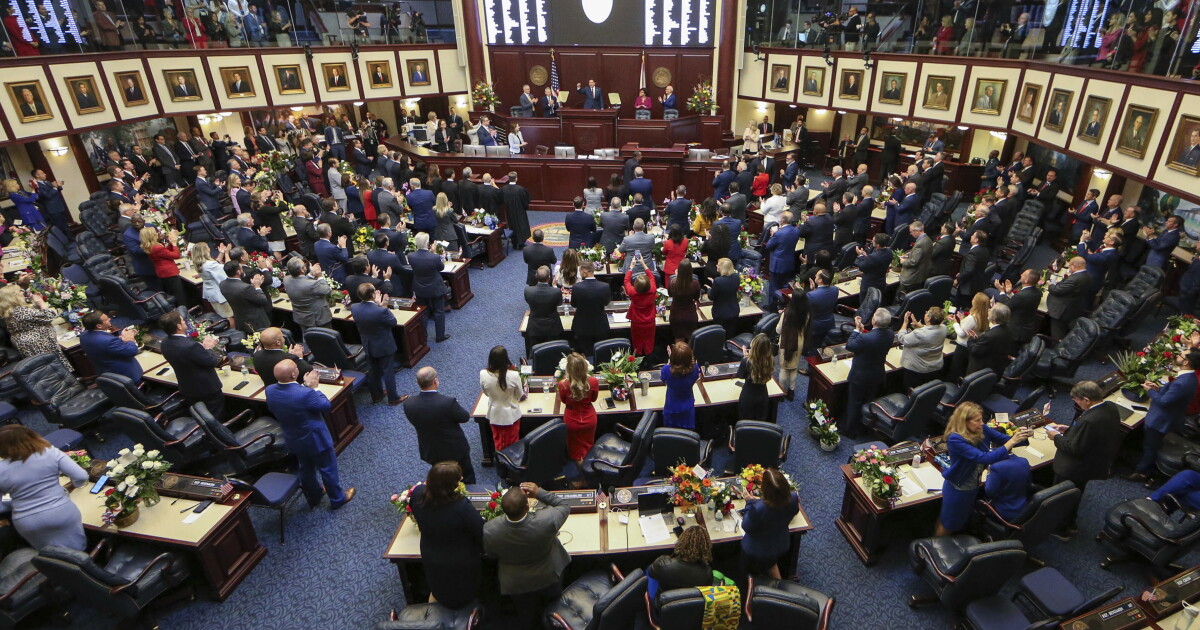 Aclu Fl New ACLU Florida leader Bacardi Jackson points to 'urgency of now' | WLRN