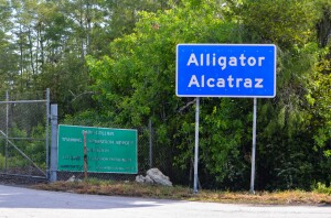 Built in a flash: new satellite imagery shows rapid construction of “Alligator Alcatraz”