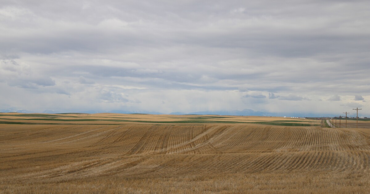 Montana ag groups have mixed reactions to federal farm aid announcement