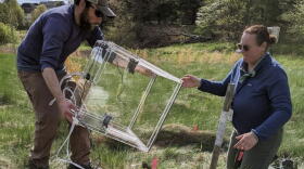 Andrew Reinmann and Lucy Hutyra deploy a chamber system to measure carbon dioxide from urban grasses during their earlier research. (Courtesy Lucy Hutyra)