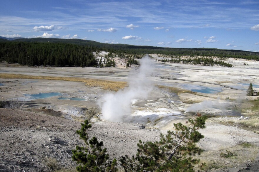 Steam rises from a geyser