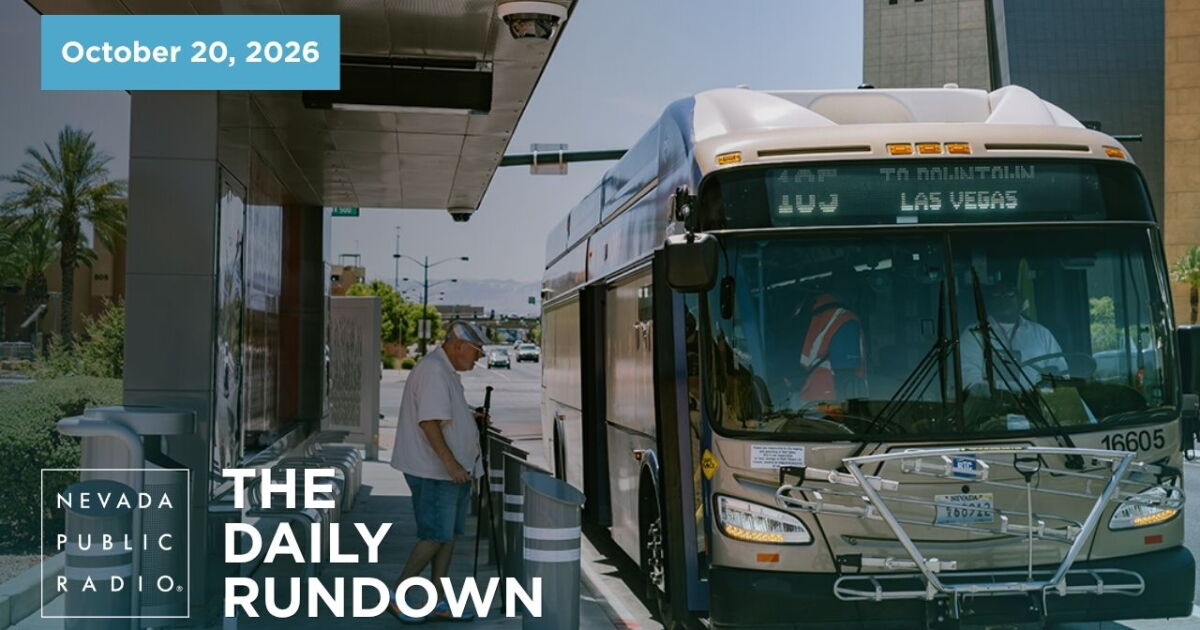 California election charges, flamingo verdict and RTC bus safety