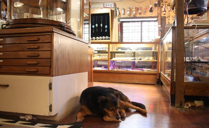 Astro, a "Rez" or reservation dog, takes a nap on the floor of the gift shop. He looks vaguely like a German Shepherd. Behind him are glass jewelry cases. There's more jewelry and artifacts hanging from the wall.