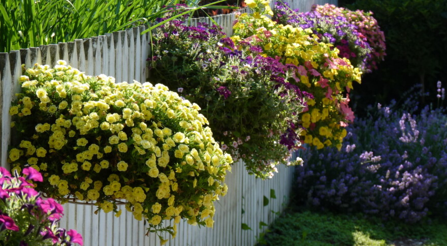 Gardens