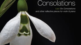 Cover of Consolations by Maya Magub