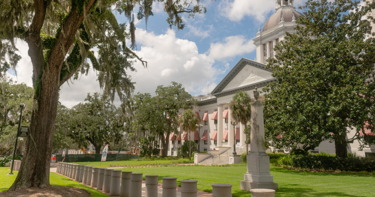 Bill before Florida Senate would put local ordinances on hold if ...