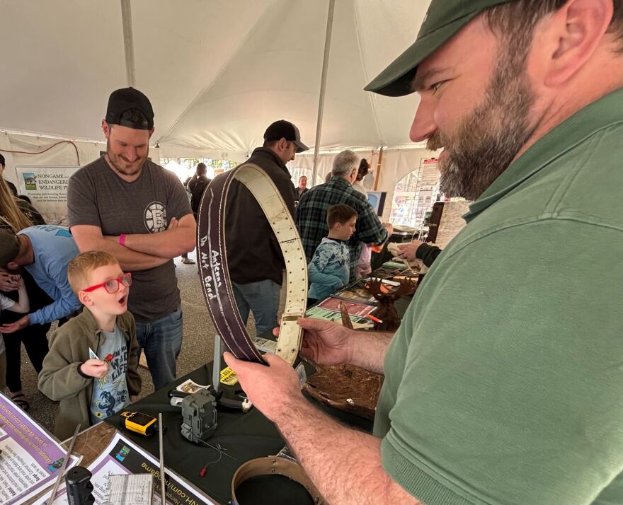 Six year old Owen Thomas looks on in disbelief as New Hampshire Fish and Game wildlife biologist Brett Ferry shows him a moose tracking collar at the department's annual Discover Wild Day in Concord.