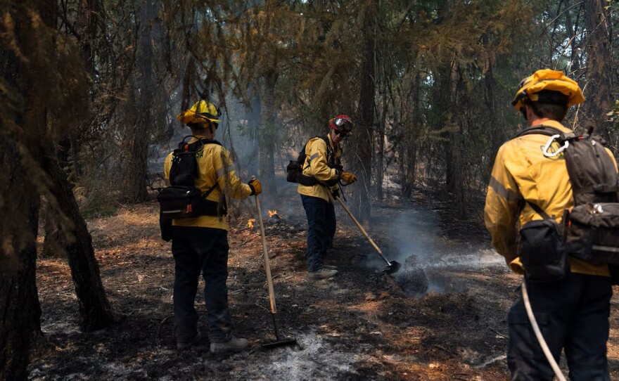 Constantin Zherebnenkob, center, puts out hotspots from the Grasshopper Fire with his crew from Santa Rosa, Calif.