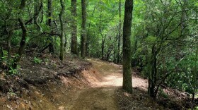 A view of the Stony Knob Trail, part of the new Pisgah Passage.
