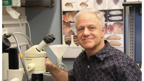 UMass Chan Medical School Professor and RNA researcher Phil Zamore at work in his lab. (courtesy: UMass Chan Medical School)