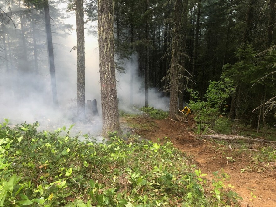 Crews on the Days Coffee Fire near Tiller.