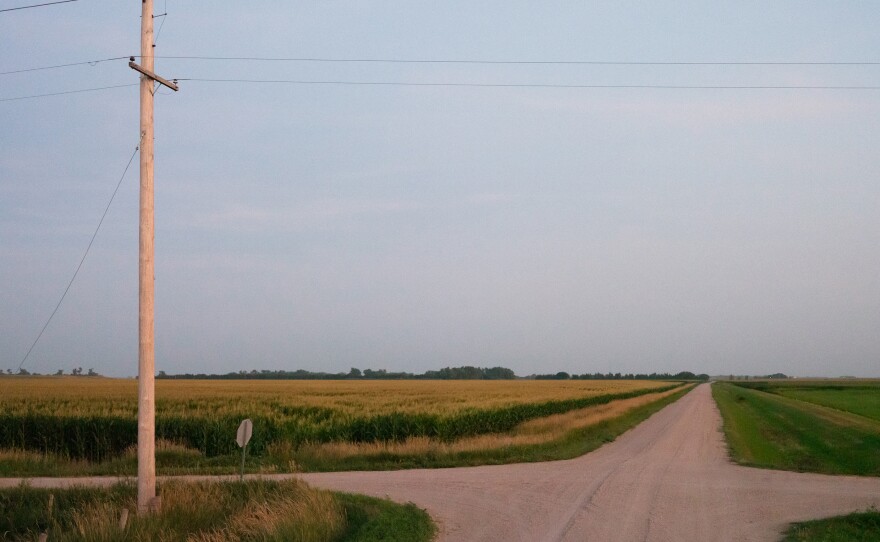The cornfield where Cruz Urias Beltran's body was found near Grand Island, Neb.
