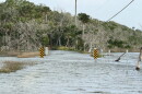 Nor'easter and King Tides caused coastal flooding at the Timucuan Ecological & Historic Preserve﻿ in Northeast Florida.