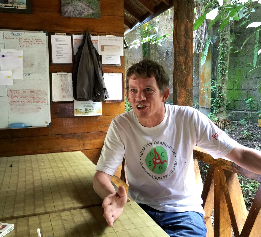 Ian Singleton, director of the Sumatran Orangutan Conservation Program, also campaigns to stop the illegal clearing of forests for palm oil, which continues despite a moratorium on destroying primary forests and peat land.