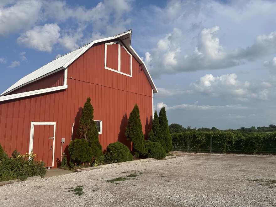 A red barn overlooking rows of grapes at The Cellar Winery in Madrid, IA.