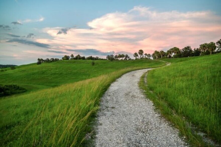 Grassy field with sunset 