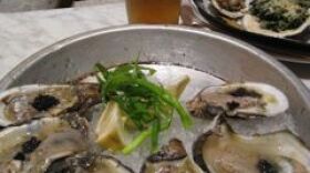 A new festival is out to prove that New Orleans is America's oyster capital.