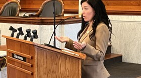 Legislature chairwoman Nicole Watts explains the local law to the ways and means committee.