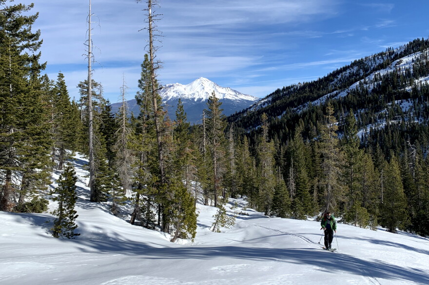  National Weather Service forecaster Brett Lutz hikes through the woods with Mt. Shasta in the distance.