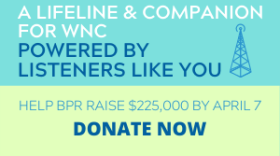 Spring membership drive radio tower graphic