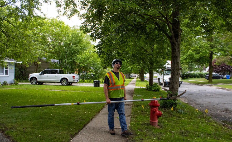 Matthew Nagle, a city of Midland arborist, surveys the branches of trees while raising the canopy along a neighborhood street on Thursday, June 18, 2026.