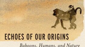 Echoes of Our Origins