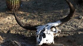 Bob Dollar’s experience on the prairie is well worth the read.