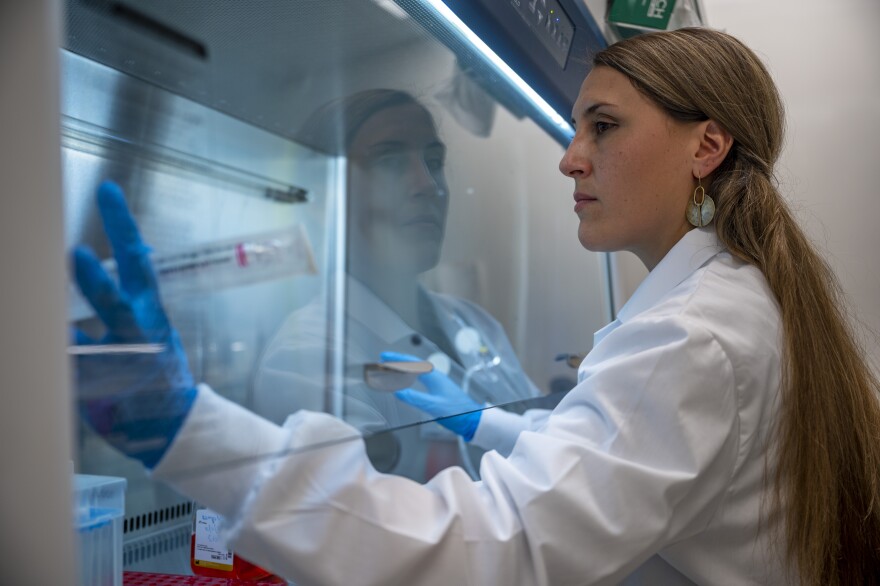 Dr. Alison O'Neil "feeds" stem cell cultures in her lab at Wesleyan University. These cultures come from donors who have familiar Alzheimer's. Observing their controlled development will allow her to learn about the earliest stages of the disease with the eventual goal of identifying it before significant damage is done to the brain.