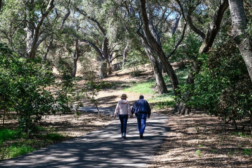 An oak woodland is among the lush features at Descanso Gardens in La Cañada Flintridge. The Los Angeles region was transformed with the use of imported water and recycled wastewater.