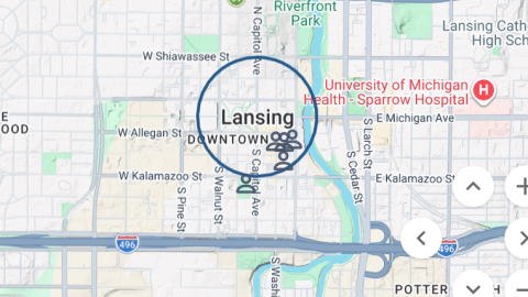 A screenshot from a search for Lansing in the Michigan Sex Offender Registry, which is maintained by the Michigan State Police.