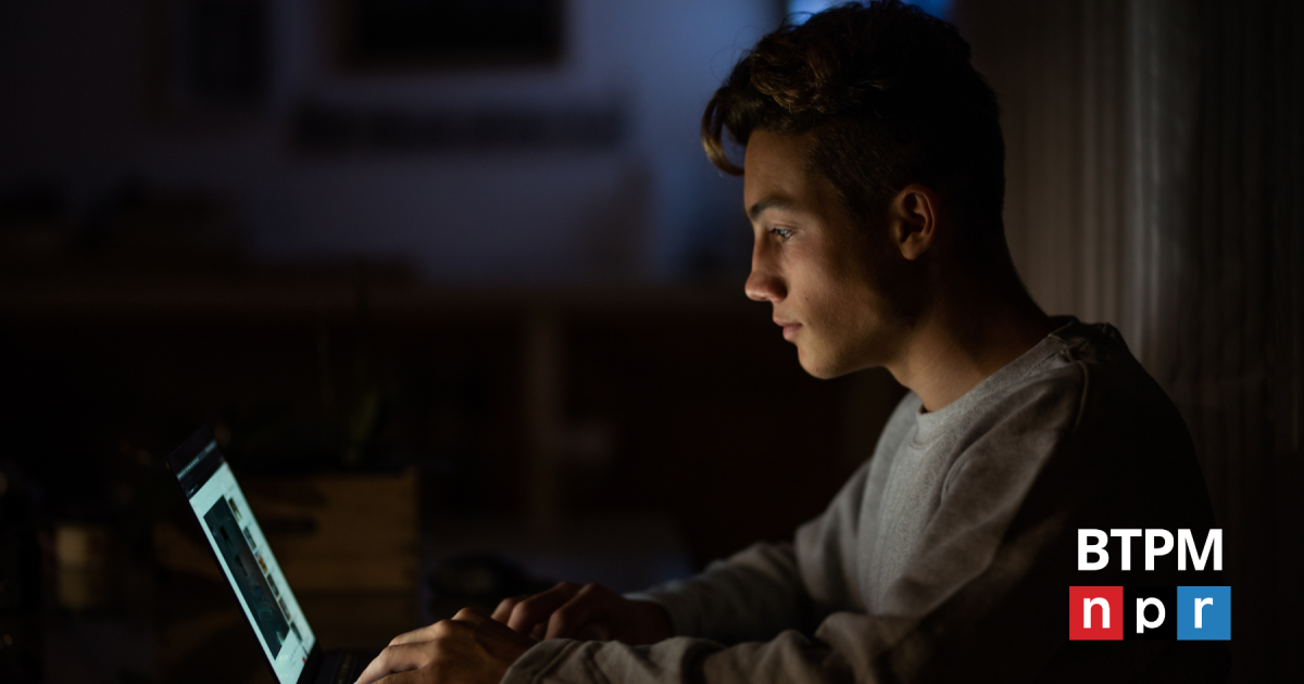 Cybersecurity experts sound alarm on growing radicalization among Canadian youth