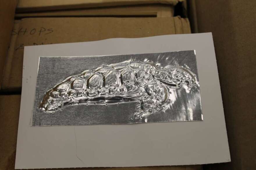 The Braille Association of Mid Florida produces embossed images like this sea turtle for some of its books. Photo: Matthew Peddie, WMFE