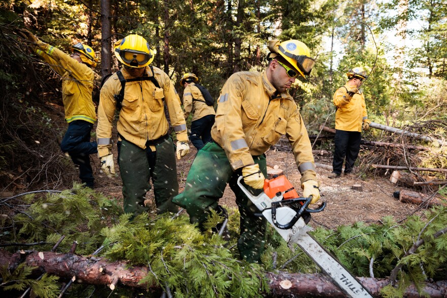 NEVADA CITY, CA: Members of the California National Guard's Task Force Rattlesnake clear brush and small trees to reduce the likelihood of a high-intensity wildfire on August 8, 2023. <a href="https://www.npr.org/2023/08/23/1194434368/fire-season-national-guard-climate-change">See the story.</a>