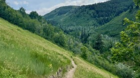 Dawn's Trail in Thaynes Canyon.
