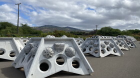 These multi-ton hybrid reef structures will reduce wave energy to slow coastal erosion, and support living coral ecosystems as a part of the Kalaeloa Hybrid Reef Project.