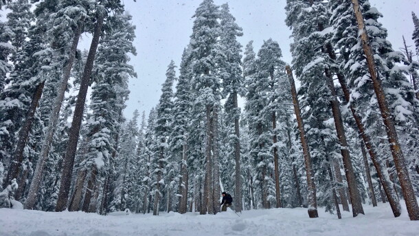 A skier navigates a snowy forest at Aspen Highlands ski mountain in December 2019. The majority of the water in Lake Powell originates as snow in Colorado. The nation’s second-largest reservoir has been crippled by more than two decades of dry conditions.