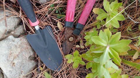 garden tools