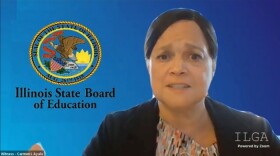Illinois State Board of Education Superintendent Carmen Ayala addresses a House education appropriations committee Monday in a virtual hearing. ISBE requested a $400 million increase in funding. 