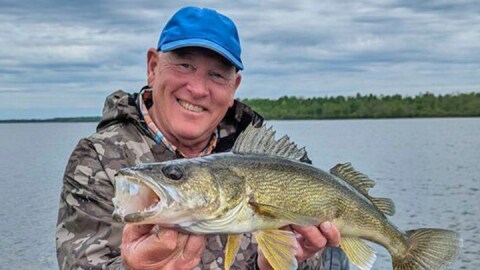 An angler holds a walleye on a lake in northern Minnesota.