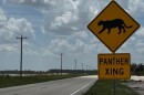 Panther crossing signage along Corkscrew Road in eastern Lee County near the Kingston development.