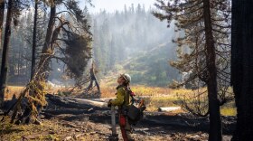An image of a firefighter looking up with a chainsaw.