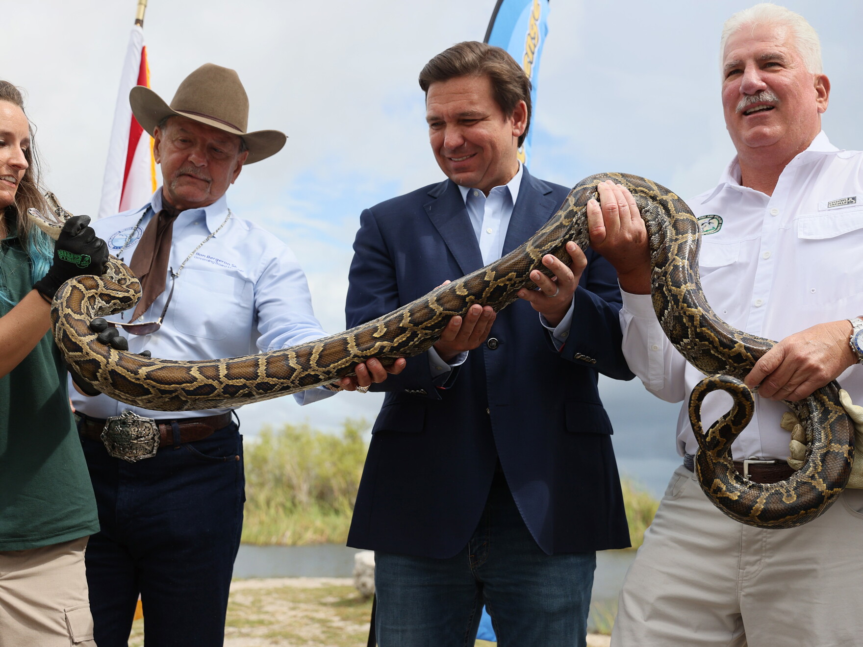Fl Python Hunt Want to hunt pythons in Florida this summer? This professional has tips ...