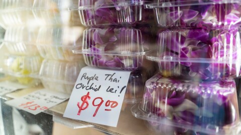 Purple Thai orchid lei sit inside a refrigerator at M.P. Lei Shop in Chinatown, Thursday, Feb. 26, 2026, in Honolulu.