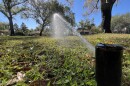 a sprinkler spraying on a lawn with trees in the background