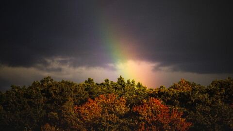 A rainbow appears behind a line of trees as afternoon storm clouds pass over the East Hartford area Monday, October 17, 2023.