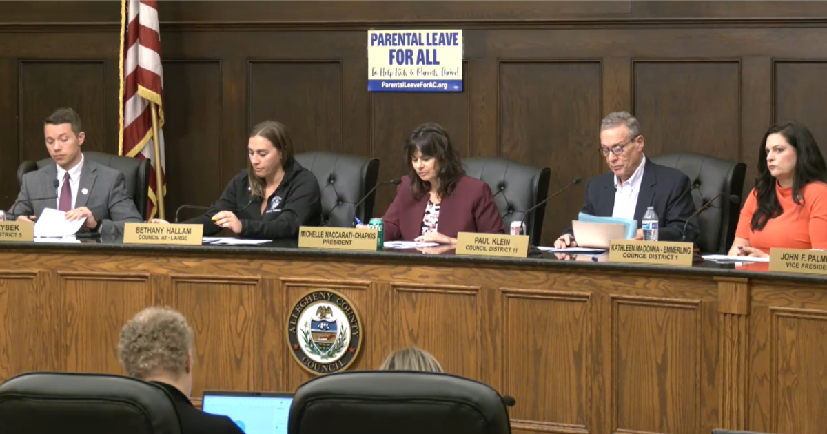 Allegheny County Council passes hotly debated parental leave bill by 11-4 ...