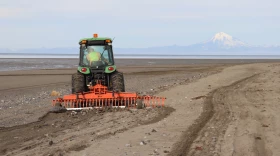 A man drives a tractor dragging a rake on the beach in Kenai