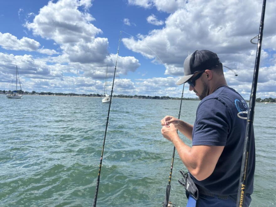 Researcher Ryan Knotek loads bait. (Katie Cole/WBUR)