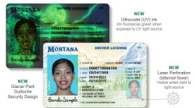 Monana drivers license.