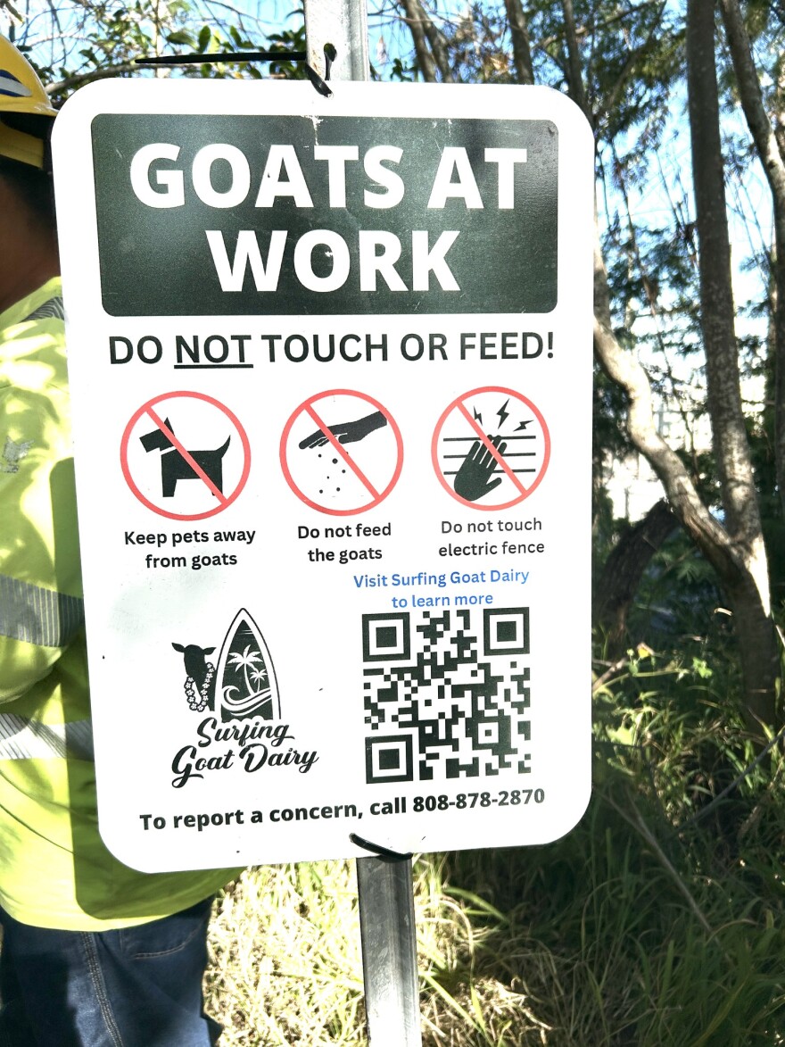 Signage alerts passersby to goats at work.